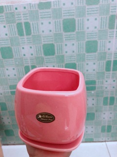 Chậu Trồng Cây