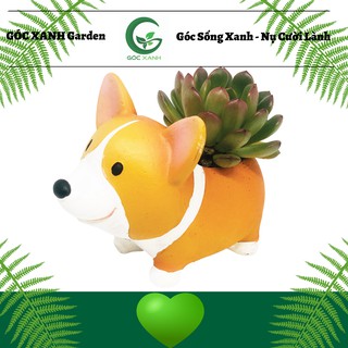 [Hàng Nhập] Chậu Hình Chú Chó Corgi Cười Dễ Thương, Trồng Cây, Cắm Hoa, Văn Phòng, Gia Đình, Trồng Sen Đá, Xương Rồng