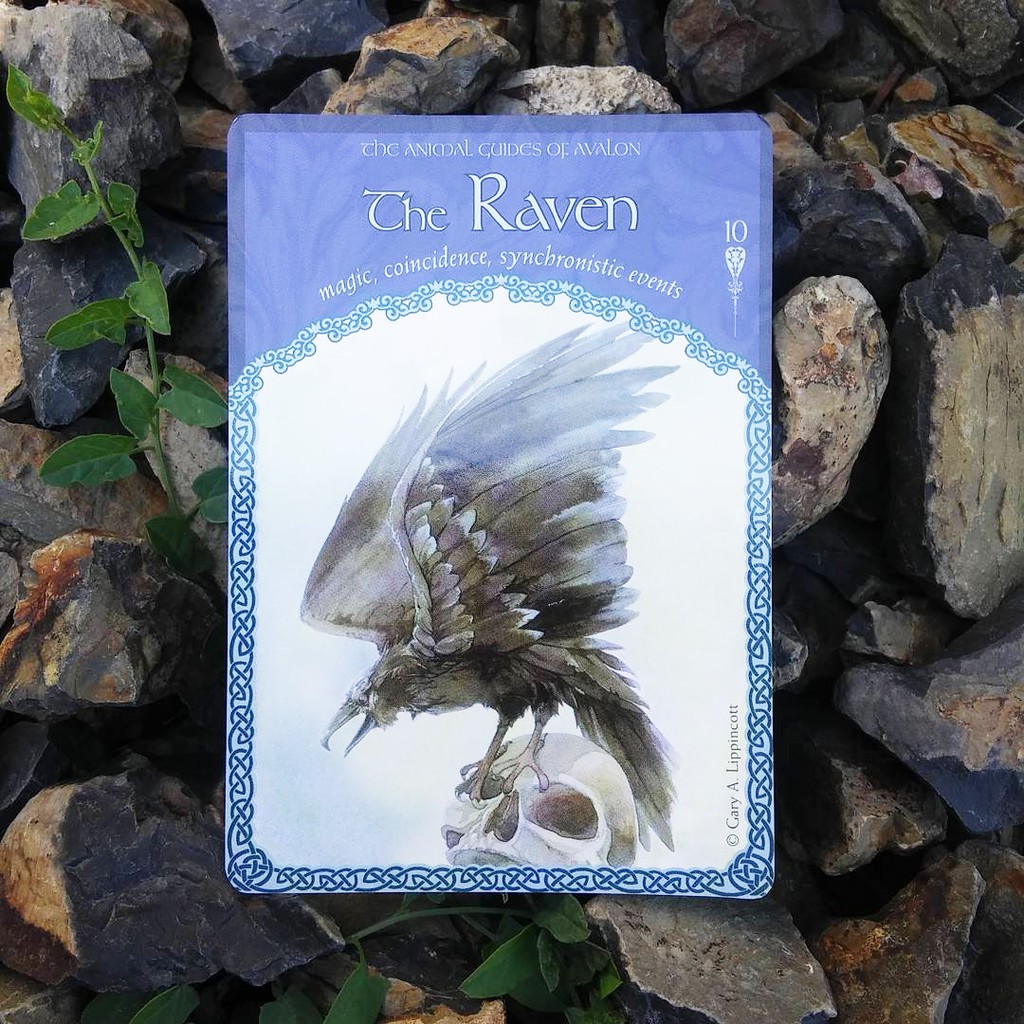 Bộ Bài Wisdom Of Avalon Oracle Cards (Mystic House Tarot Shop)