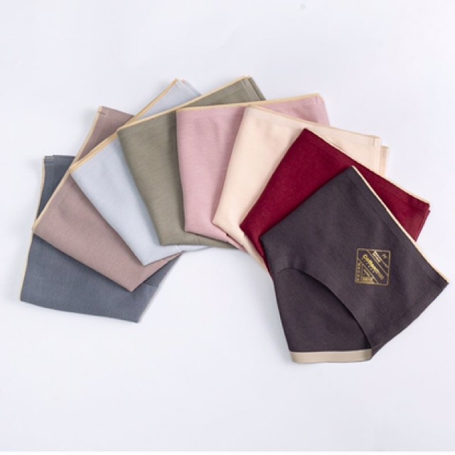 [Mã 12FASHIONSALE1 giảm 10K đơn 50K] Quần lót nữ cotton ép cao cấp 8875 | BigBuy360 - bigbuy360.vn