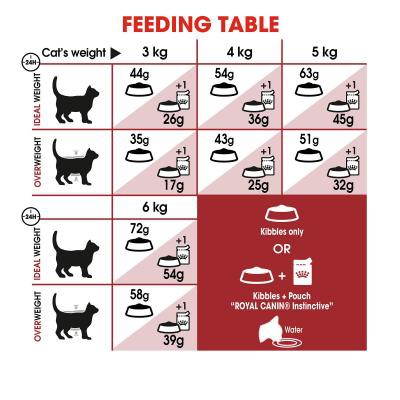 15kg -Thức ăn cho mèo trưởng thành Royal Canin Fit32