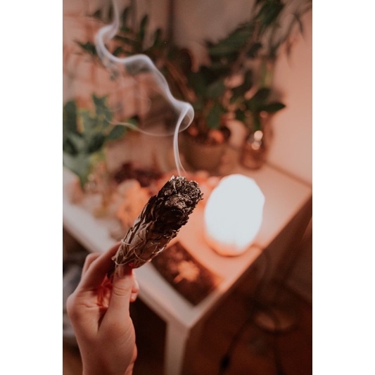 Lá Xô thơm Peru - Lá Sage