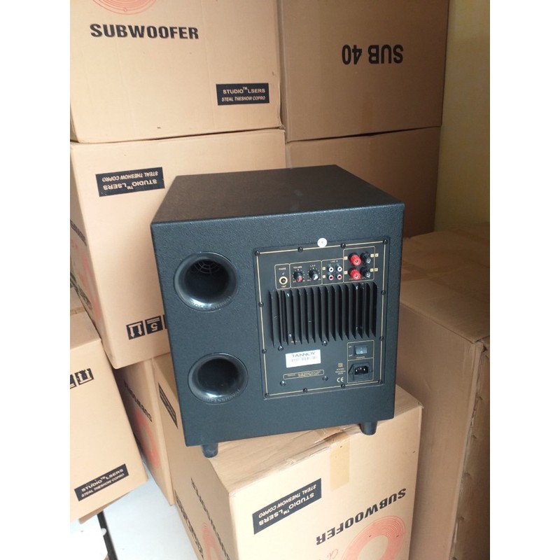Loa trầm điện Bass 30 Taynoy