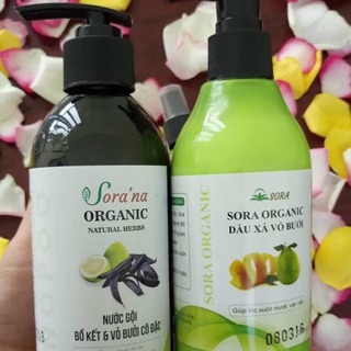 Dầu gội, xả bồ kết cô đặc
