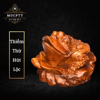Tượng Thiềm Thừ ( Cóc ) hút lộc gỗ Hương đá kích thước 9 x 11 x 13 cm TT01