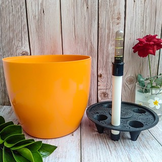 10 Chậu Cây Tự Tưới Nước Size 18,5x16cm Màu Cam - DM