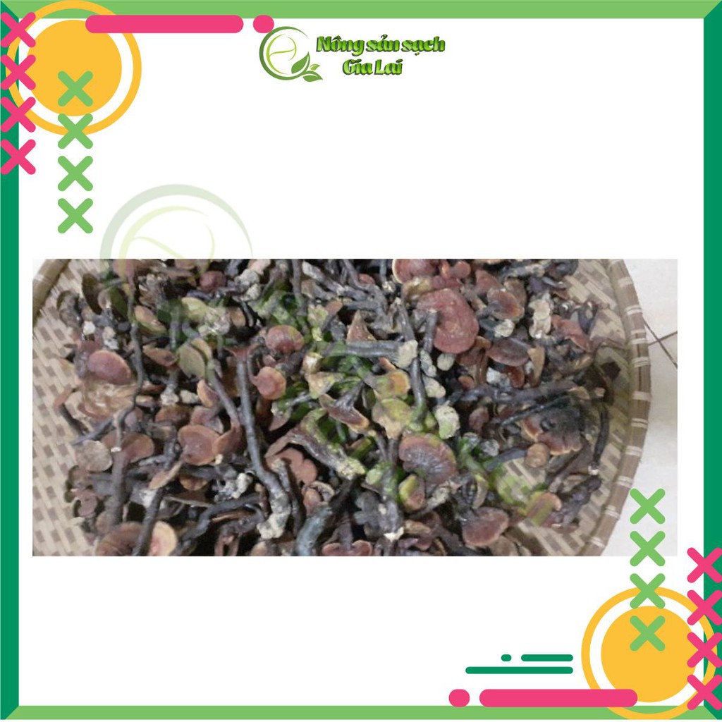 Nấm lim xanh rừng tự nhiên hàng chuẩn, sản phẩm tốt cho sức khỏe 1kg | BigBuy360 - bigbuy360.vn