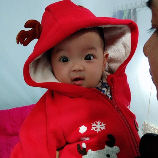 Body tuần lộc noel