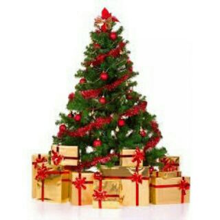 Cây thông noel