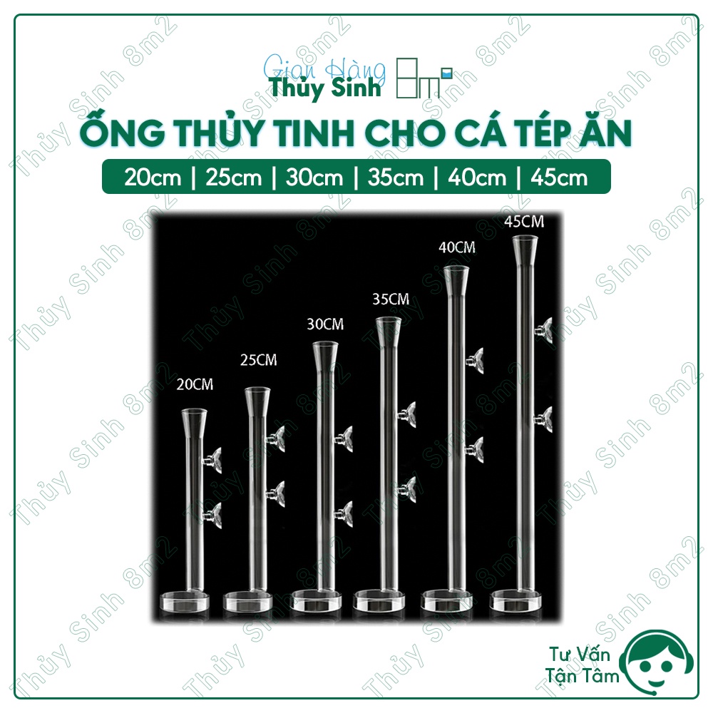Ống Dẫn Truyền Thức Ăn Cá Tép | Ống Thủy Tinh Đủ Kích Cỡ | 8m2