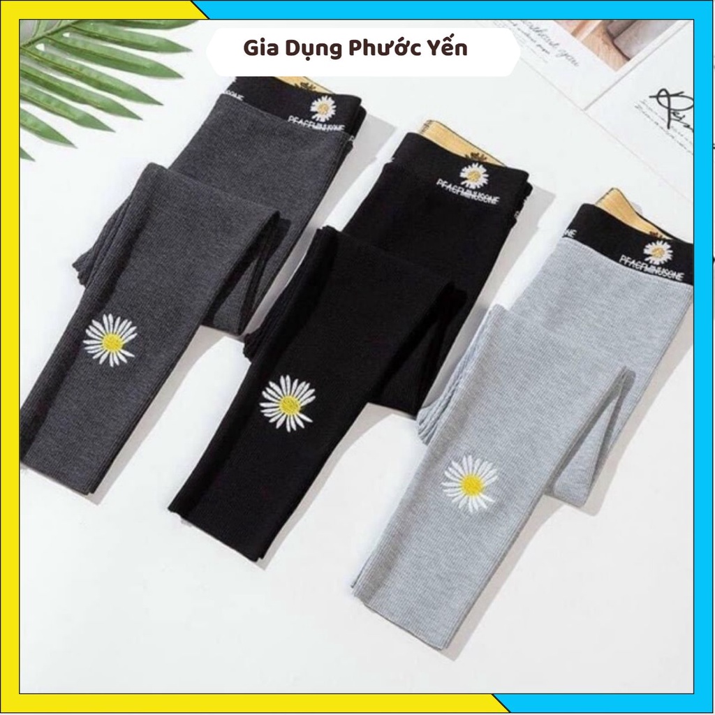 Quần legging hoa cúc len tăm