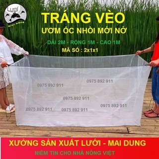 Ảnh chụp Vèo , tráng lưới nuôi ốc nhồi - loại ươm mới nở tại Bắc Ninh