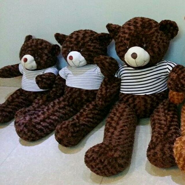 Combo 3 gấu teddy 1m khổ vải may