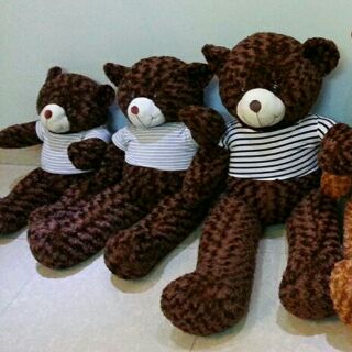 Combo 3 gấu teddy 1m khổ vải may