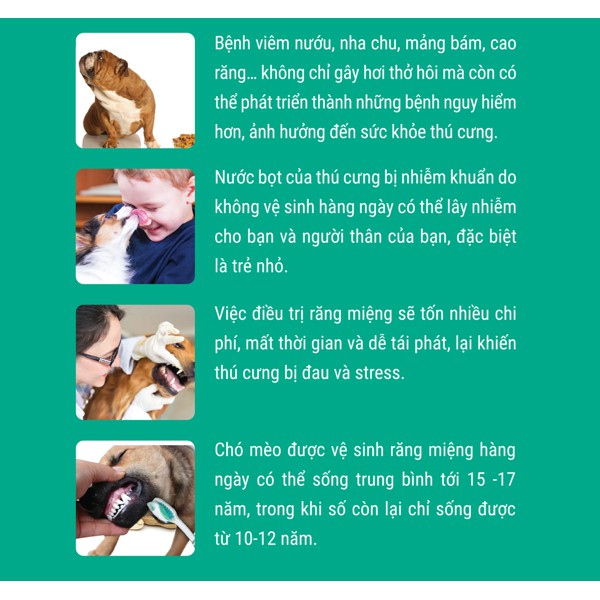 GEL LÀM SẠCH RĂNG MIỆNG CHO MÈO - Fresh Breath Clean Teeth Oral Care Gel for cat