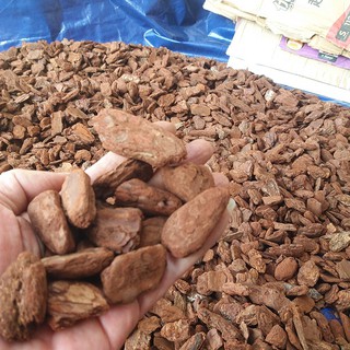 Vỏ Thông khô xay mài,bo tròn cạnh cỡ 2-3cm, túi 1kg giá thể trồng lan