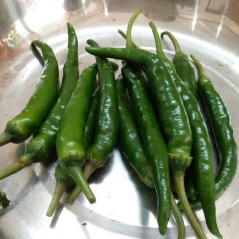 Hạt Giống Ớt Xanh Hàn Quốc  - Ngọt, Cay Nhẹ,Thơm Ngon, Năng Suất - MUA 3 TẶNG 1 CÙNG LOẠI