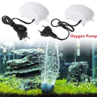 Thiết bị bơm oxy không ồn cho bể cá cảnh