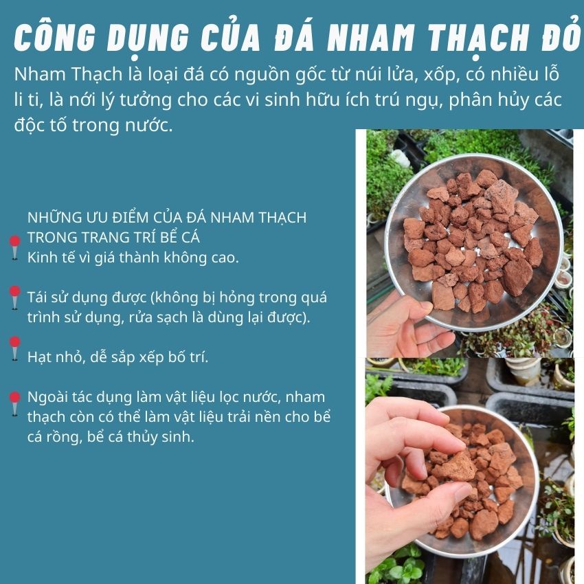 Đá nham thạch lọc nước bể cá, vật liệu lọc hồ cá, đá trang trí hồ cá