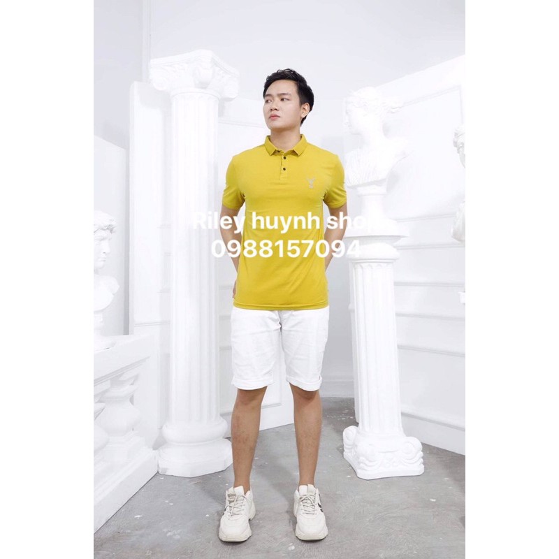 ÁO THUN COTTON COMBO 2 cái | BigBuy360 - bigbuy360.vn