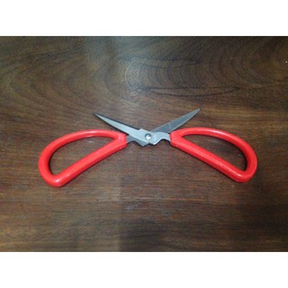 Kéo làm cá nhà bếp - thép không gỉ - dài 17cm
