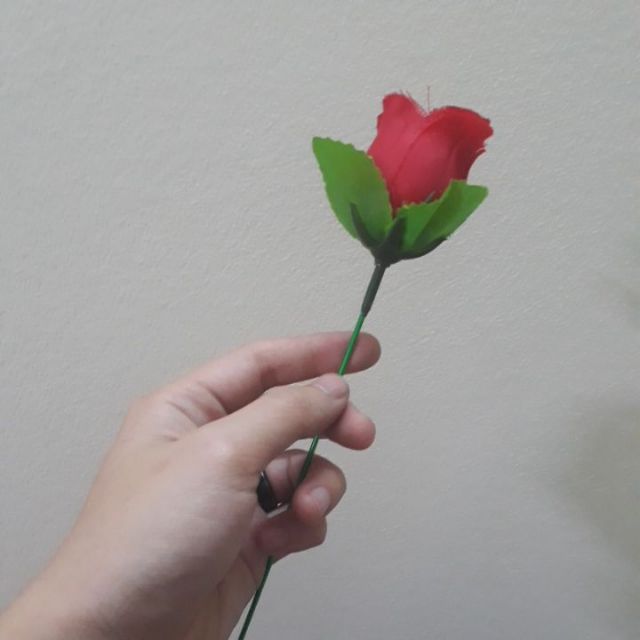 Đuốc lửa thành hoa hồng tặng bạn gái: Đạo cụ ảo thuật (có clip hướng dẫn kèm theo)
