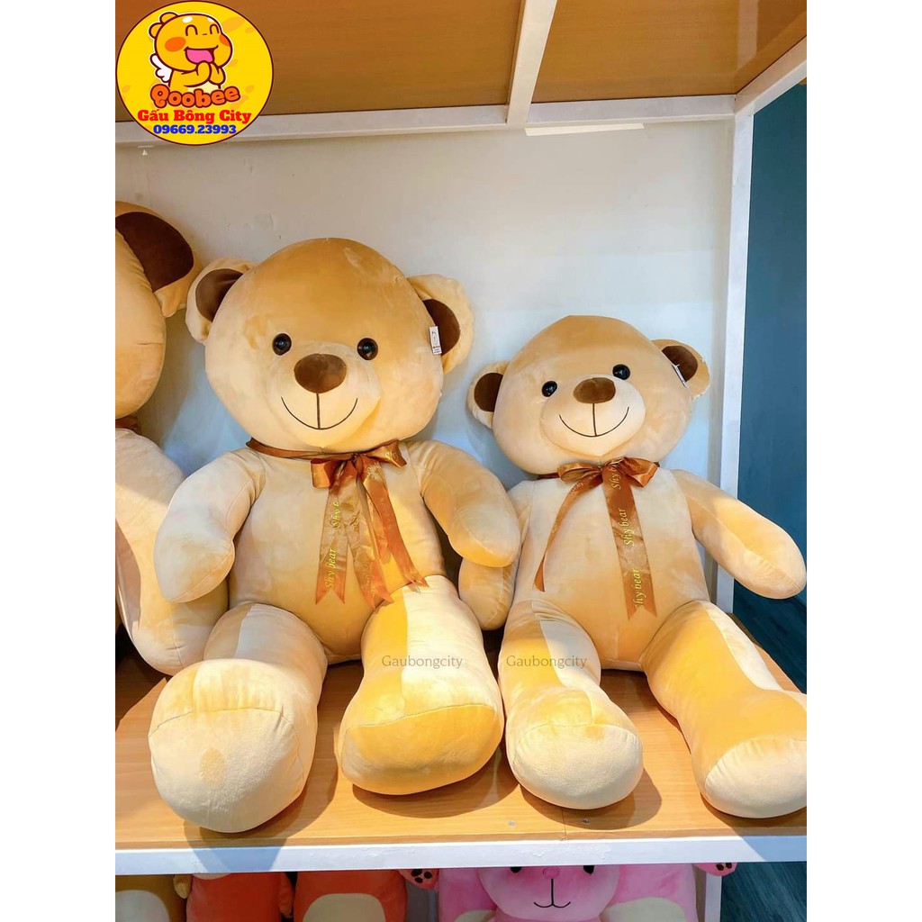 Gấu Bông Teddy vải co dãn 4 chiều Đủ cỡ đeo nơ