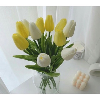 Hoa tuylip nhiều màu, hoa cắm trang trí nhà cửa, phụ kiện chụp ảnh sản phẩm