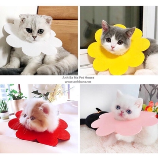 Vòng cổ chống liếm cho mèo hình bông hoa