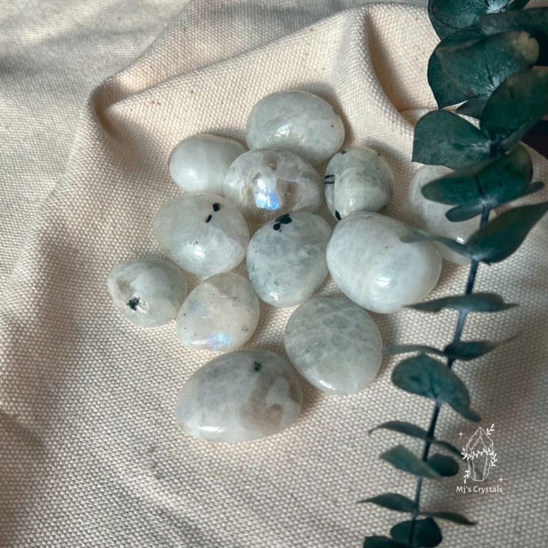 ᴆᴀ́ ᴠɪᴇ̂ɴ 𝘛𝘶𝘮𝘣𝘭𝘦𝘥 Mᴏᴏɴsᴛᴏɴᴇ ʙʀᴀᴢɪʟ sᴜ̛ᴜ ᴛᴀ̂̀ᴍ, ᴛᴀʀᴏᴛ, ʜᴀɴᴅᴍᴀᴅᴇ, ʀᴇɪᴋɪ, ᴛʜᴀɴʜ ᴛᴀ̂̉ʏ ᴛʜɪᴇ̂̀ɴ ᴆɪ̣ɴʜ.