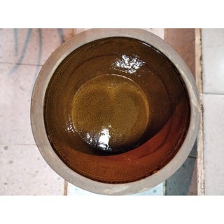 bể nuôi cá bảy màu