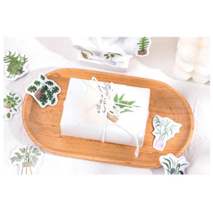 Bộ 45 Sticker Cây Cảnh E116