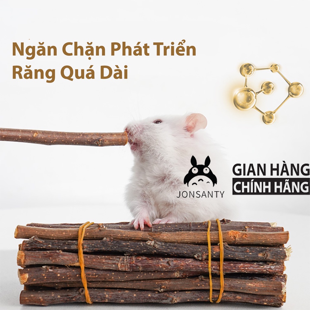 Cành táo mài răng cho thỏ, chuộ hamster, bọ ú, mài răng cho thú cưng nhỏ cst008