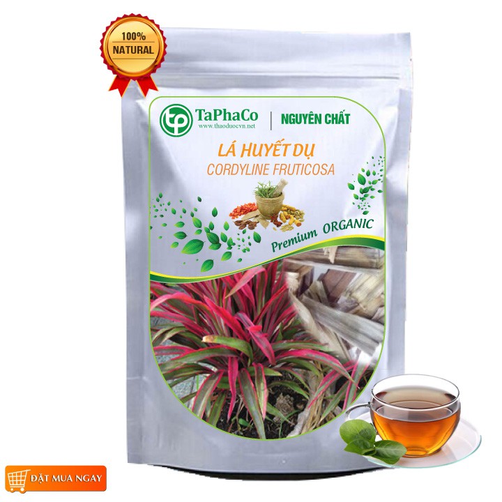 Cây huyết dụ khô, Lá huyết dụ khô 1kg - Tấn Phát