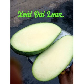 Xoài Đài Loan. 1kg.