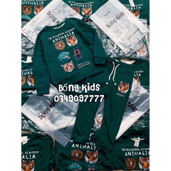 Bộ Nỉ Bé Trai Animal Xanh Lá Đậm HaM(bán lẻ áo lẻ quần)