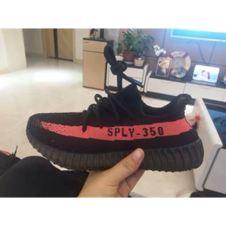 Giày thể thao sply 350 unisex