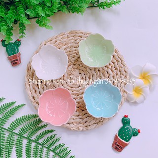 Tổng hợp chén sứ mini cho bé ADKN