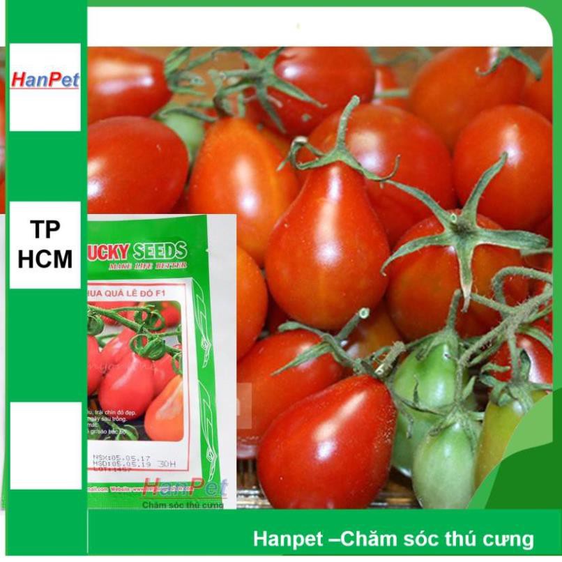 Hanpet.GV- (VƯỜN TRONG NHÀ) Hạt giống Cà chua hình lê (loại dài màu đỏ) Combo 30 hạt phù hợp khí hậu nhiệt đới- 1002