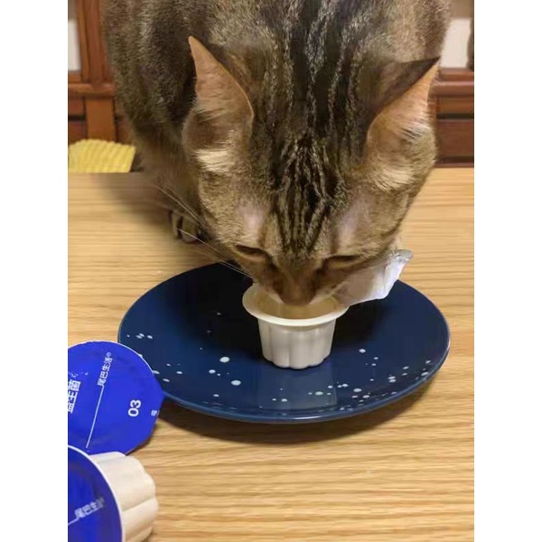 Men Vi Sinh Dạng Lỏng Cho Cún Mèo - 20ml