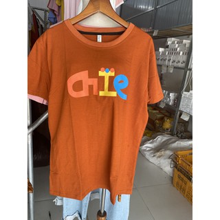 Áo thun croptop theu chư