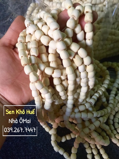 SỈ Sen Khô Huế TỪ 5KG