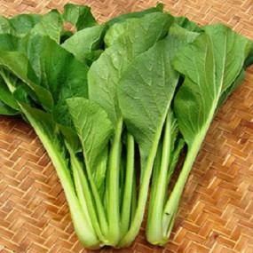 HẠT GIỐNG CẢI NGỌT CỌNG XANH CAO SẢN GÓI 20gr