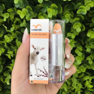 Son Dưỡng Nhau Thai Cừu