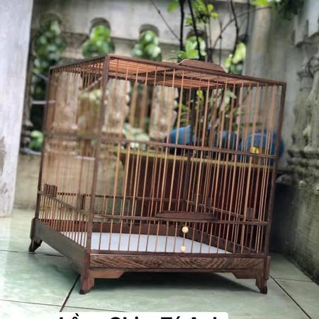 Khung lồng chim chào mào gỗ mun đuôi công BẢO ANH thái đấu, vuông đấu cực dễ lắp siêu đẹp