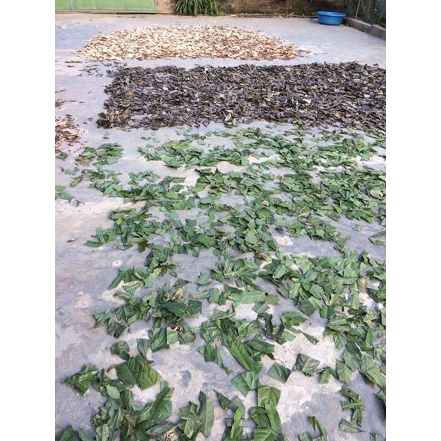 Lá Tắm Sau Sinh - Dân Tộc Dao Đỏ (tặng muối hồng Himalaya) | BigBuy360 - bigbuy360.vn