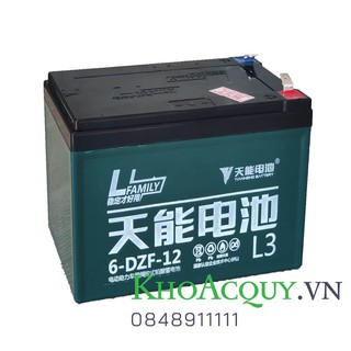 Ắc quy Thiên Năng Tianneng 6-DZF-12 12V 12AH