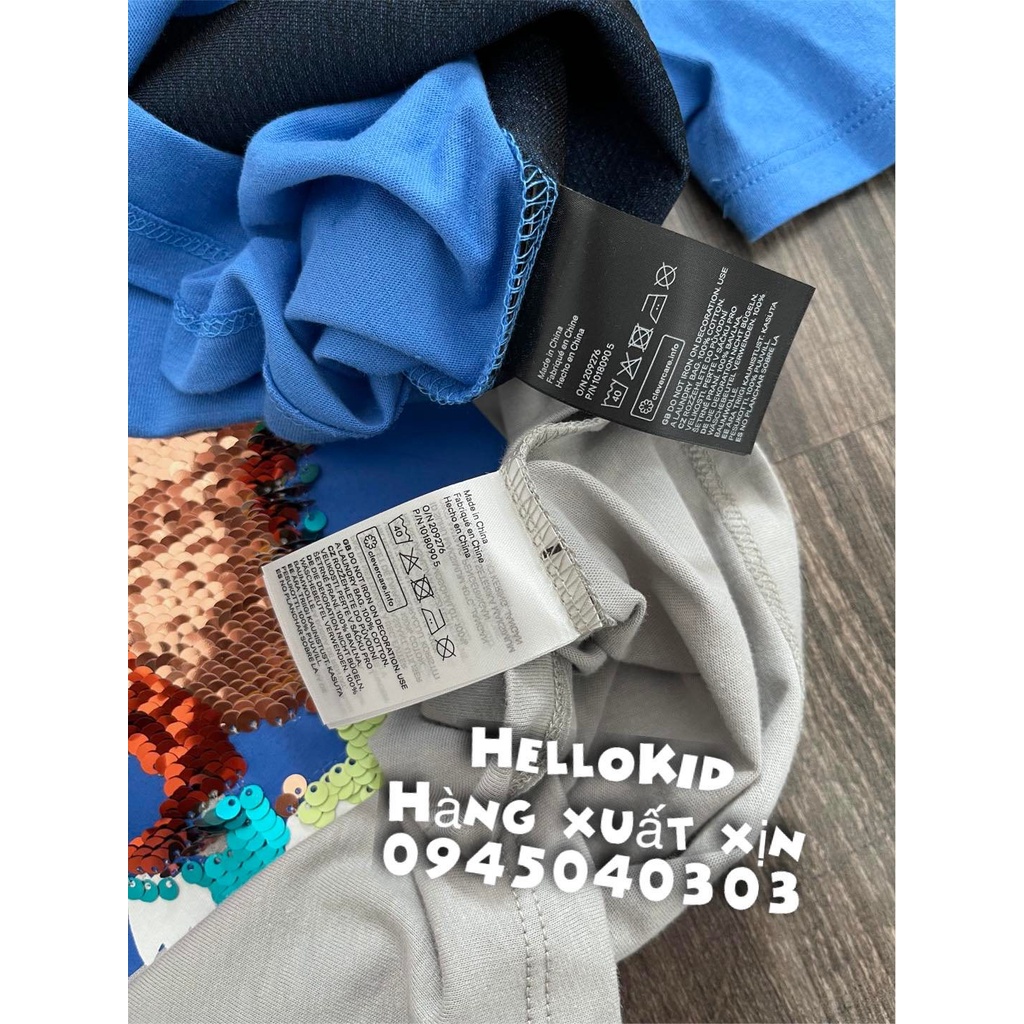 A176 - Áo thun sequin KHUNG LONG