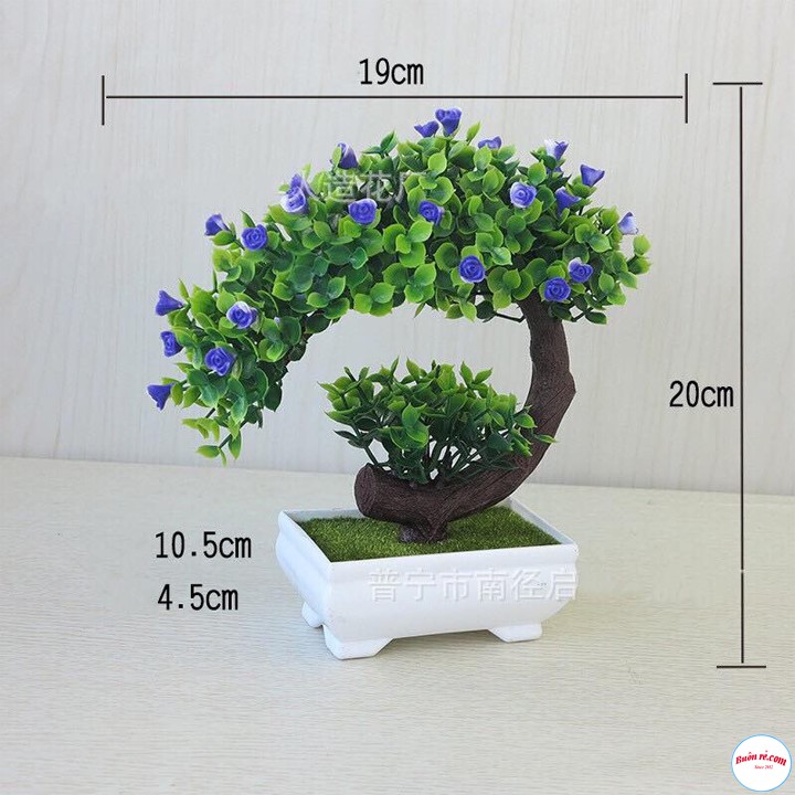 Chậu cây bonsai nhựa phú quý cát tường tặng kèm dây đèn led dùng pin siêu sáng
