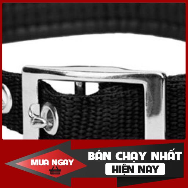 Vòng cổ Police cho Chó (3 size) 0